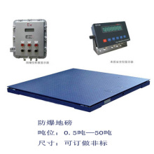 _1吨防爆电子地磅((1吨防爆电子地磅))厂家_实验仪器设备_天平衡器_台秤磅秤_产品库_中国化工仪器网